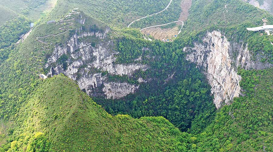 Scientists Discover an Ancient Forest Inside a Giant Sinkhole in China
