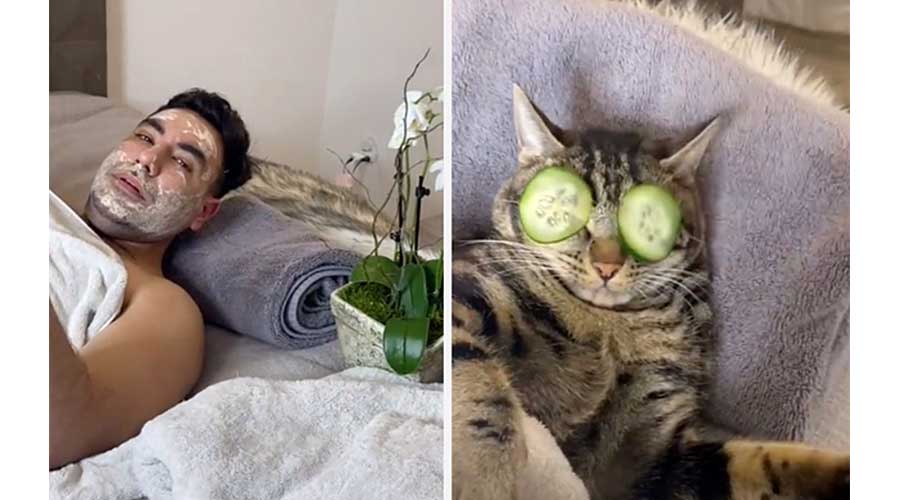 Viral video shows cat enjoying a spaw day, Internet is jealous
