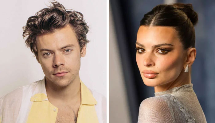 Is there something brewing between Harry Styles and Emily Rayajkowski?
