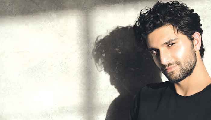 Ahad Raza Mir set to make an appearance in yet another production of Hamlet