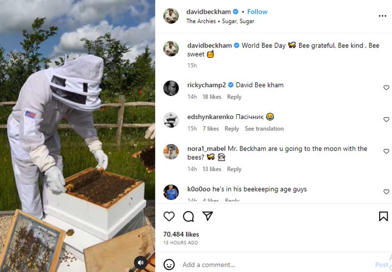 David Beckham marks World Bee Day after gifting honey jar to King Charles III